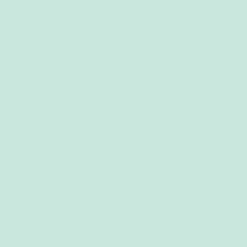 Icy Mint | Pure Solids | PE-451